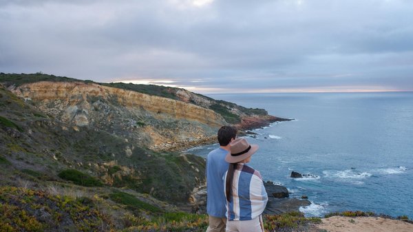 Campings en forêt acceptant les chiens