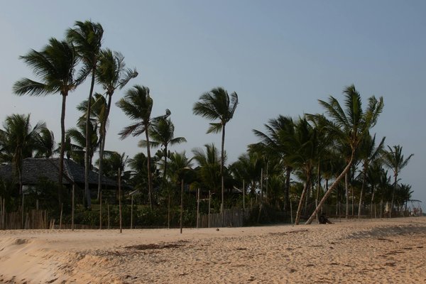 Vivre l'expérience unique des vacances à soulac-sur-mer