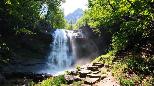 Top 5 cascades incontournables en Dominique pour votre aventure